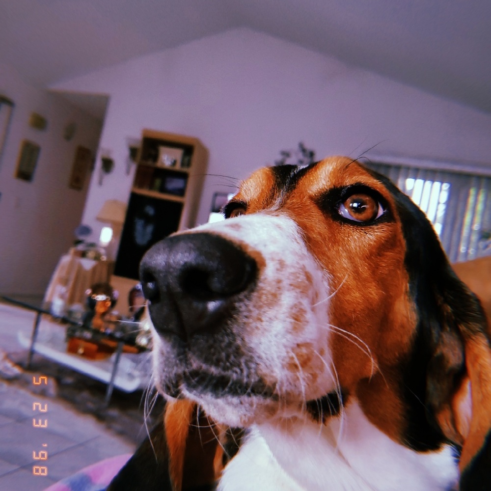 Meet your Posher, Angie